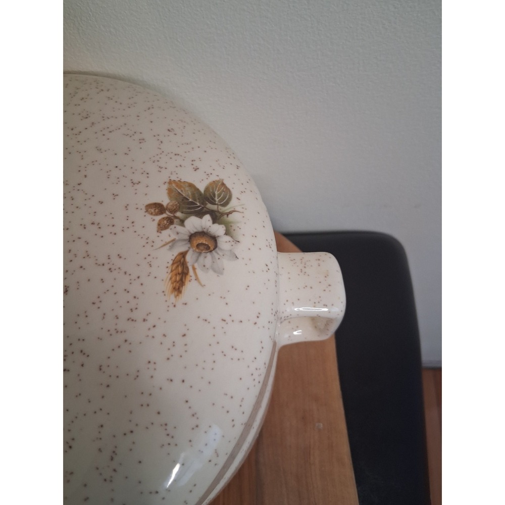 Speckled Stoneware Casserole Dish with Lid Floral Wheat Design Cream - Picture 4 of 8